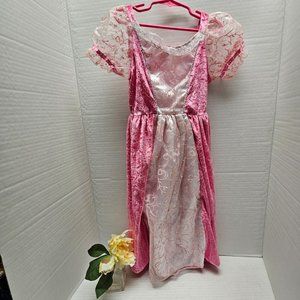 Princess Aurora Sleeping Beauty Queen Pink Sheer Velvet Long Dress Girls Costume